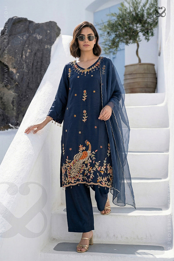 Woman in a deep blue intricate embroidered salwar suit set with a organza dupatta standing on steps