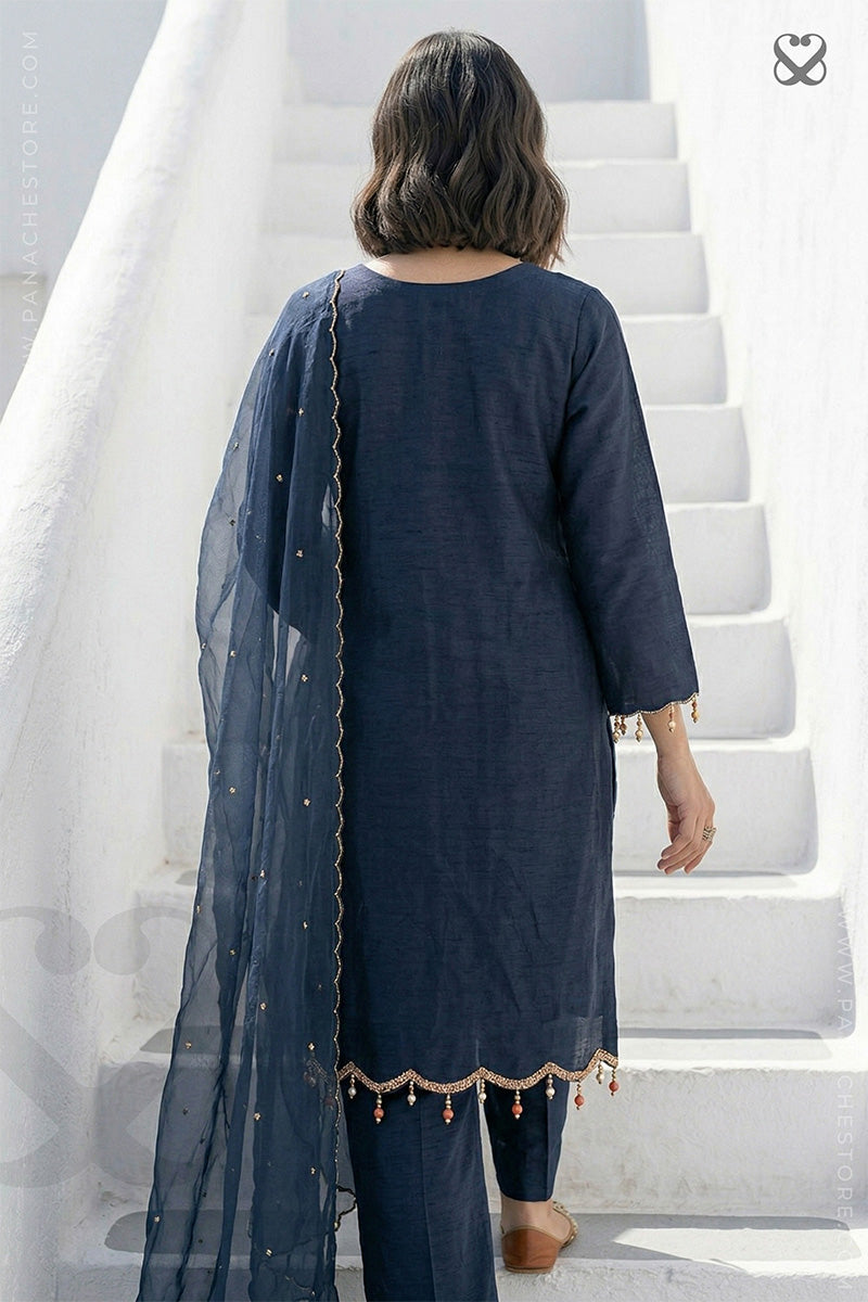 Woman in a deep blue salwar suit with a organza dupatta moving up stairs